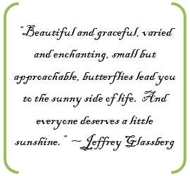 “Beautiful and graceful, varied and enchanting, small but approachable, butterflies lead you to the sunny side of life. And everyone deserves a little sunshine.” ~ Jeffrey Glassberg