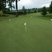True Putt Creeping Bluegrass