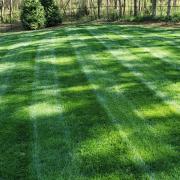 Midnight Kentucky Bluegrass