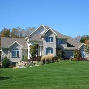 Combat Southern Fescue Grass