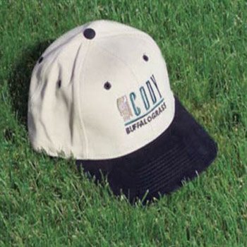 Bowie Buffalo Grass