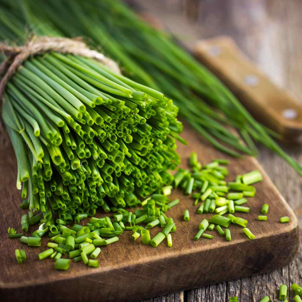 Chives Herb For Cooking