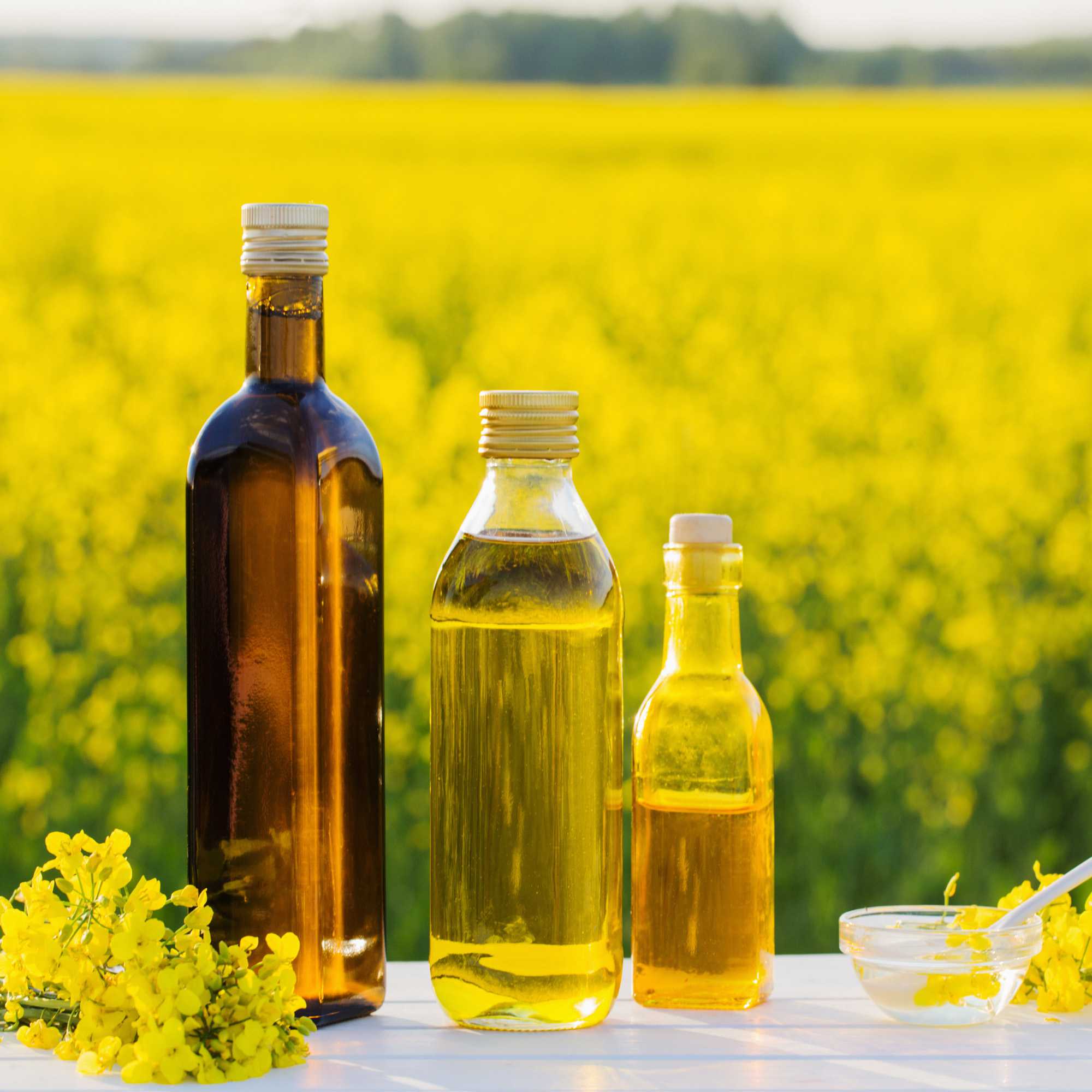 Rape Oil
