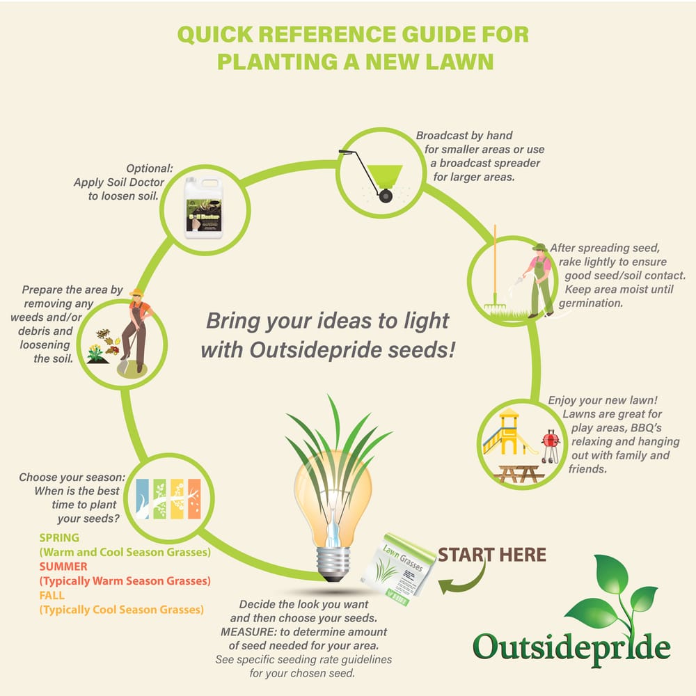 Lawn Planting Infographic