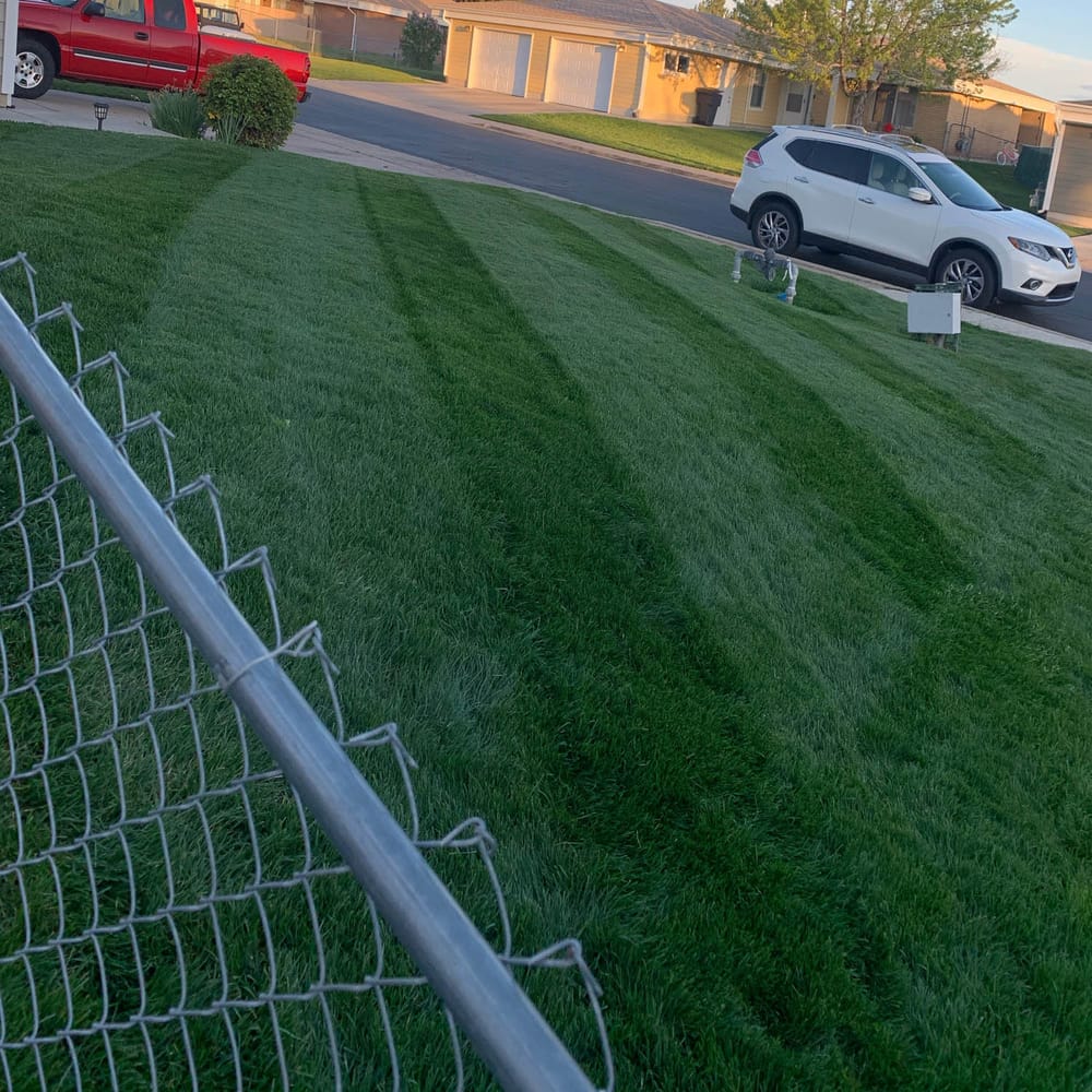 Midnight Kentucky Bluegrass