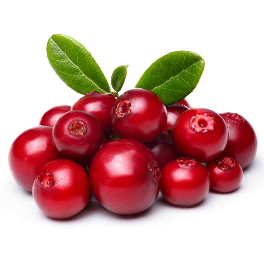 Mountain Cranberry Fruits