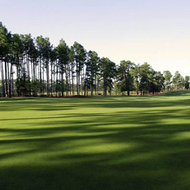 Golf Course Green