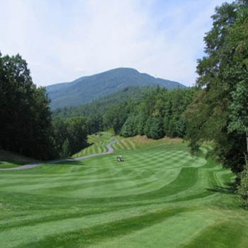 Arden 15 Turf Grass