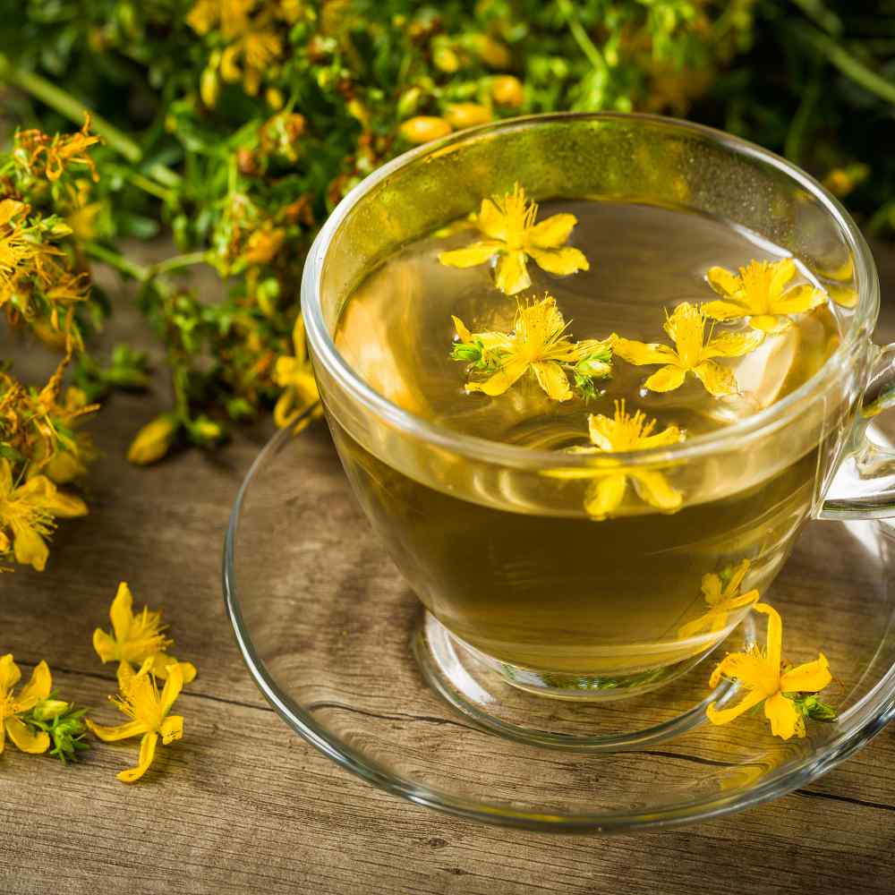 Hypericum Perforatum Tea