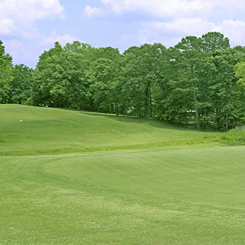Yukon Bermuda Golf Green Grass